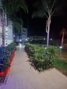 a sidewalk with palm trees and a building at night at APPARTEMENT DE LUXE 3 Façades in Ben Slimane +3 photos