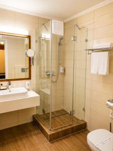 a bathroom with a shower and a sink at Batthyány Kastélyszálló in Zalacsány