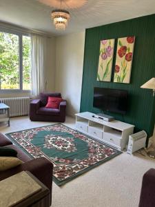 a living room with a television and a couch and a rug at repos en forêt in Huelgoat