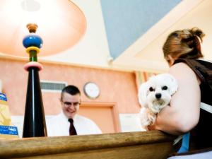 a woman holding a white dog in her arms at Mercure Ankara Kızılay in Ankara