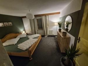 a bedroom with a large bed and a mirror at FeWo im Forsthaus in Marktredwitz