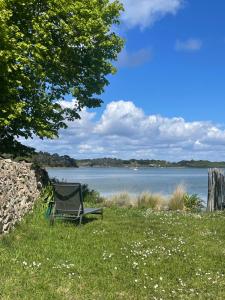 a bench sitting in the grass next to a lake at Maison face à la mer in Sarzeau