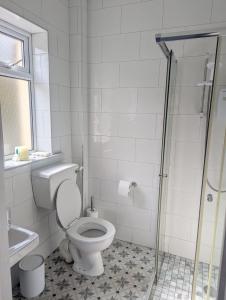 a bathroom with a toilet and a glass shower at Ox Mountain View 3 Bed apartment in Foxford
