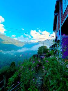 a view from the top of a mountain with flowers at Saus Home in Khonoma +8 photos