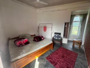 a bedroom with a bed and a red rug at Saus Home in Khonoma