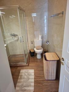 a bathroom with a toilet and a glass shower at KATHRIN APPARTS in Alepou +3 photos