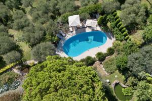 an overhead view of a swimming pool in a garden at Villa Rosa del Garda Golf and Bike in Garda