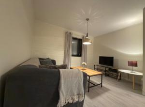 a living room with a couch and a table at Smørblomstvegen Apartment in Tromsø