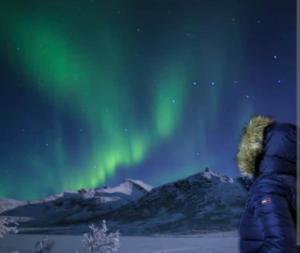 a person is looking up at the aurora borealis at Smørblomstvegen Apartment in Tromsø +4 photos