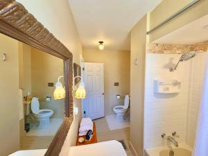 a bathroom with two toilets and a sink and a mirror at Avery House Bed & Breakfast in Galena +22 photos
