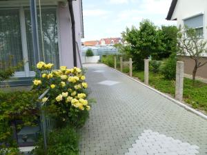 a walkway with yellow flowers on the side of a house at Villa XADAYU, Appartment in Reichenau