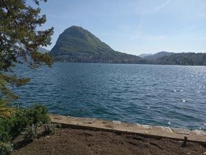 a view of a lake with a mountain in the background at Casa Willo in Bellinzona