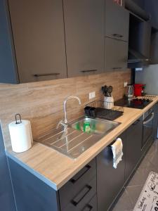 a kitchen with a sink and a counter top at KATHRIN APPARTS in Alepou