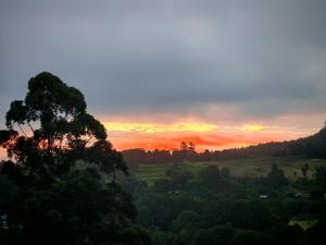 a sunset over a field with a tree at Grey Falcon Ridge in Albinia +5 photos