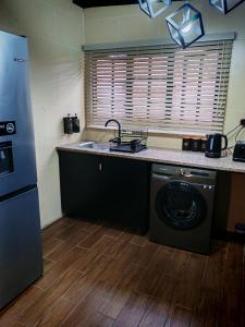 a kitchen with a sink and a washing machine at Grey Falcon Ridge in Albinia