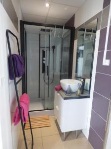 a bathroom with a sink and a shower at Gite Spa Zen 2 in Blois