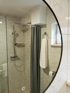 ein Badezimmer mit Dusche und Spiegel in der Unterkunft Joy4You in Čilipi + 22 Fotos