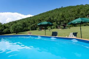 a swimming pool with two lawn chairs and umbrellas at Chalet D'alpion Nord avec Piscine in Les Tourrettes