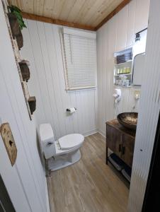 a bathroom with a toilet and a sink at Cozy Studio Cabin #5 Riverside Point Resort in Park Rapids +62 photos