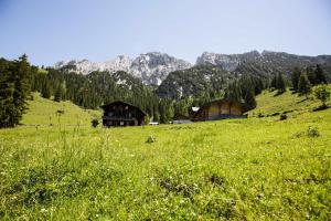 a green field with houses and mountains in the background at Aparthotel Viktorias Home in Kufstein