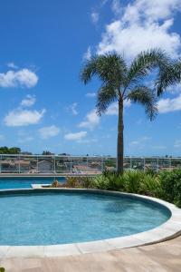 a palm tree and a swimming pool with a palm tree at Aurora Fortaleza in Fortaleza