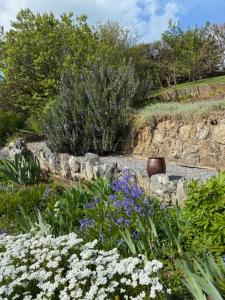 a garden with purple and white flowers and plants at Gite des Rouges Terres in Theux