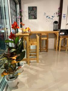 a dining room with a table and a plant at SDD HoSTEL in Thung Si Kan +34 photos