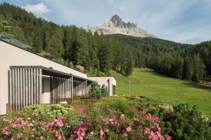 a house in a field with a mountain in the background at Hotel Cristal in Obereggen