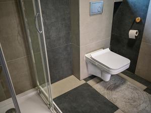 a bathroom with a toilet and a shower at Domki Markowa Dolina in Rymanów +38 photos