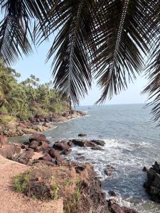 a beach with a palm tree and the ocean at beach homestay sea view in Kannur