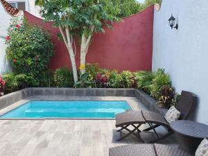 a swimming pool in a garden with two chairs at Hotel Casa de Vino in Tequisquiapan