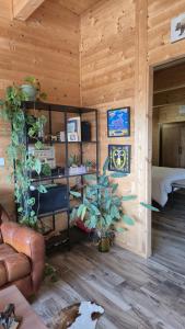 a living room with a couch and a desk in a log cabin at Bosquey Ranch B&B in Alice Castello