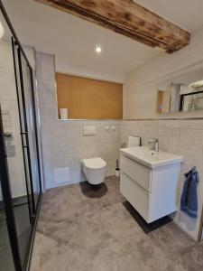 a bathroom with a toilet and a sink at Faktorei 312 in Eibau