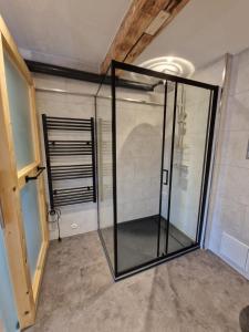 a glass shower in a room with a ceiling at Faktorei 312 in Eibau +23 photos