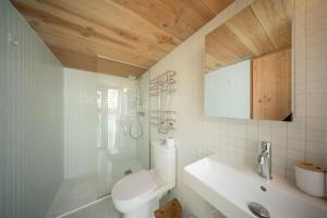 a bathroom with a toilet and a sink and a mirror at Cabane Cala - Coeur d'Arcachon in Arcachon +11 photos