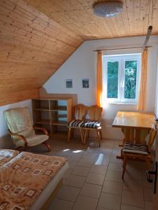 a bedroom with a bed and a desk and a table at Na Černém potoce in Rokytnice nad Jizerou