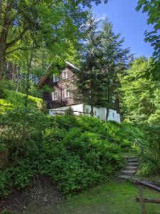 a house on a hill with trees and bushes at Na Černém potoce in Rokytnice nad Jizerou