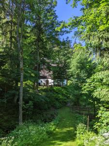 a house in the middle of a forest of trees at Na Černém potoce in Rokytnice nad Jizerou +16 photos