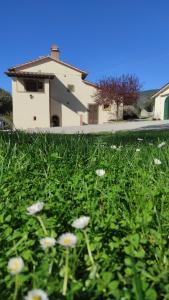 a field of flowers in front of a house at Il Pozzo degli Angeli in Cortona
