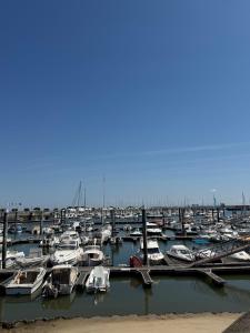 a bunch of boats are docked in a harbor at Lamayade in Arcachon