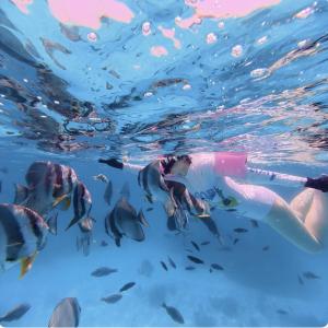 a woman swimming in the water with a group of fish at Pearl Villa in Fulhadhoo