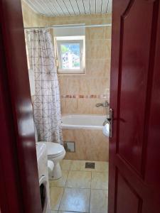 a bathroom with a tub and a toilet and a sink at Sirius Apartment in Škaljari +9 photos