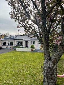 a house with a flowering tree in a yard at Doireliath in Bantry