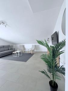 a living room with a couch and a palm plant at Iberflat Apartamentos Marina Suites in Grao de Castellón