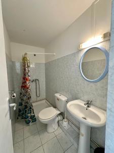 a bathroom with a toilet and a sink and a mirror at Studio Café & Studio Cacao in Îlet à Christophe +17 photos