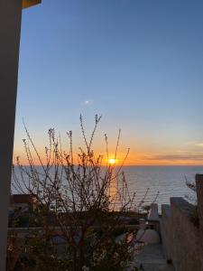 a sunset over the ocean with a tree in the foreground at Athos view house in Agios Ioannis Kaspaka