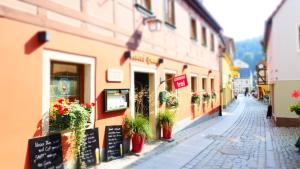 a street with potted plants on the side of a building at Gästezimmer Stadtmitte im EG in Bad Schandau