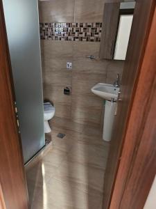 a bathroom with a sink and a toilet at Anemoni apartment Asprovalta in Asprovalta