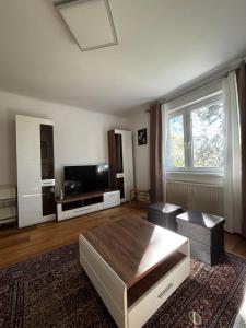 a living room with a table and a tv at Wien an Donau in Vienna