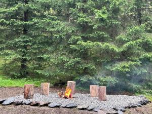 a fire pit in the dirt with trees in the background at Mountainview Flattnitz in Flattnitz